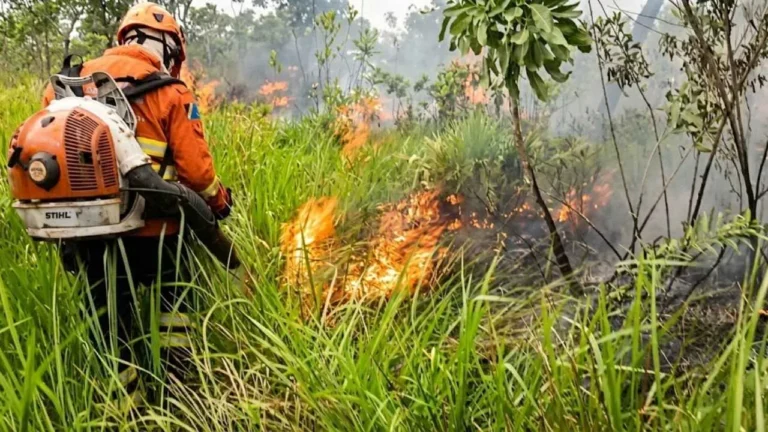 Incêndios no Pantanal de Corumbá mobilizam bombeiros em seis ocorrências em 24h. Saiba como as equipes atuam para controlar o fogo e proteger o bioma.