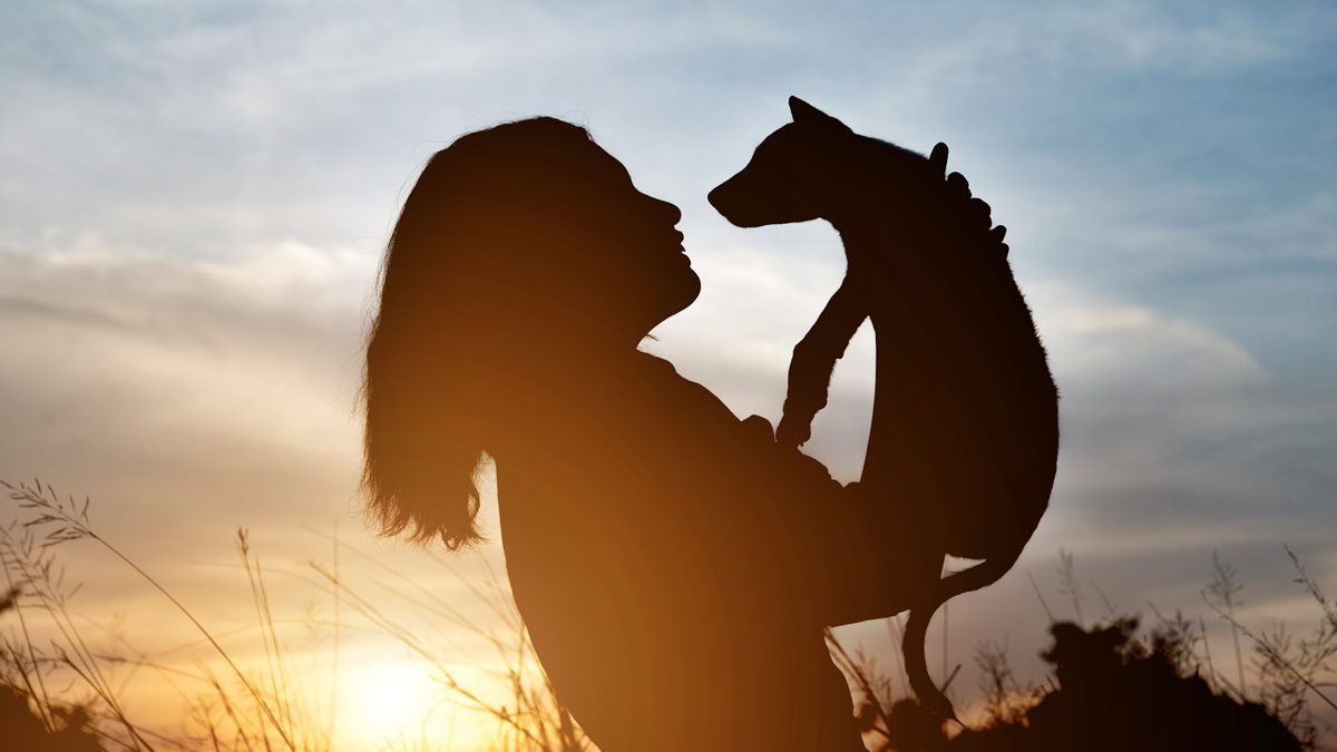 Pessoa em casa segurando uma coleira e olhando uma foto do pet, simbolizando luto pela morte do animal de estimação