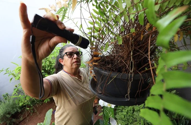 Mato Grosso do Sul confirma 8.461 casos de dengue e registra 20 óbitos