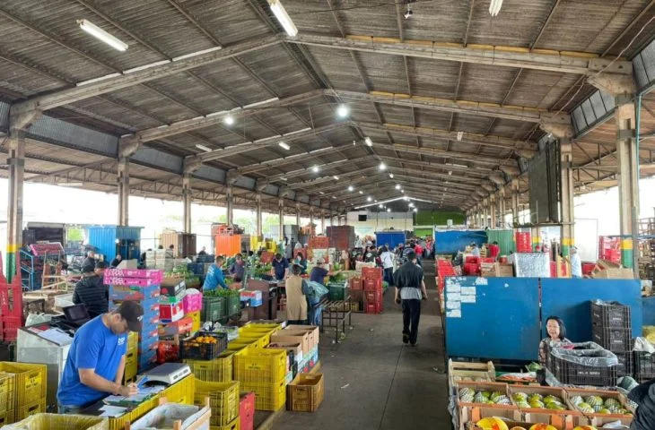 Ceasa-MS avança projeto MS Nutri e reforça parceria para reduzir desperdício de alimentos