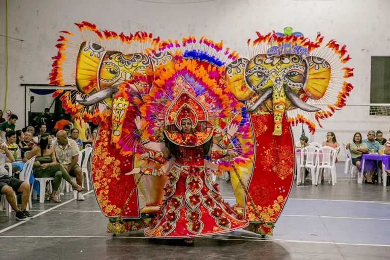 Concurso de Fantasias do Carnaval abre inscrições em Corumbá