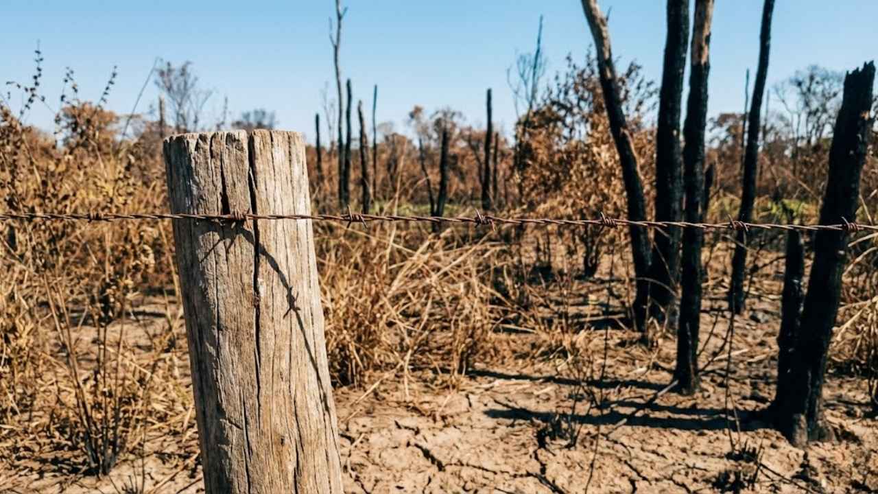MPMS investiga queimada ilegal de 2,2 mil hectares no Pantanal, com multa milionária e possíveis implicações criminais por danos ambientais.