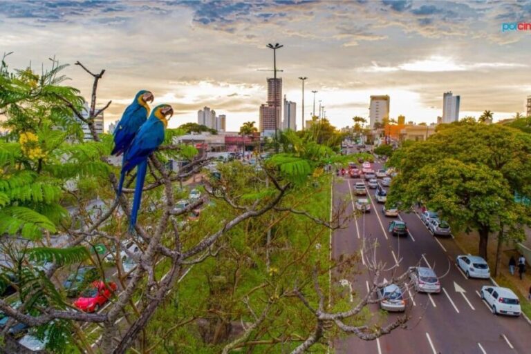COP15 projeta Campo Grande como hub de turismo e sustentabilidade