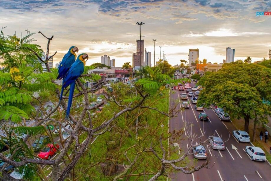 COP15 projeta Campo Grande como hub de turismo e sustentabilidade