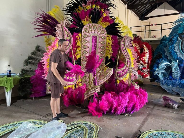 Campo Grande inicia festejos carnavalescos com Mostra de Fantasias de Luxo
