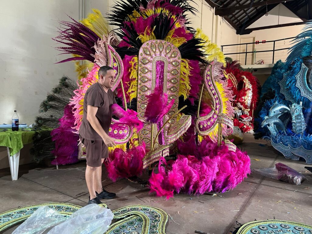 Campo Grande inicia festejos carnavalescos com Mostra de Fantasias de Luxo