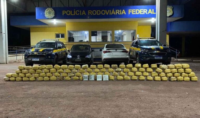 apreensão de skunk em Miranda