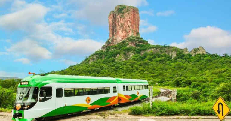 Ferrobús turístico moderno viajando pelos trilhos na paisagem verde da Chiquitania boliviana.