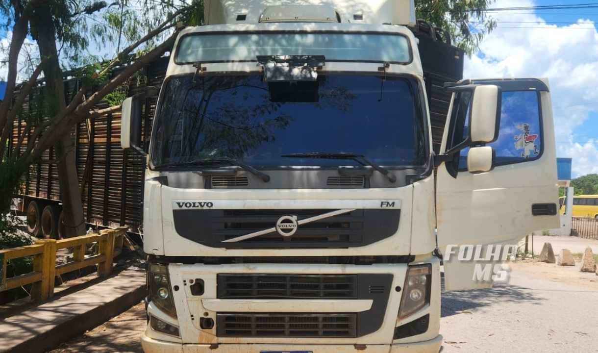 carreta boiadeira1