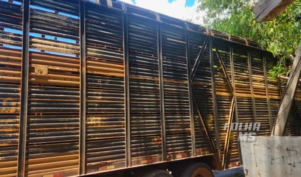 carreta boiadeira2