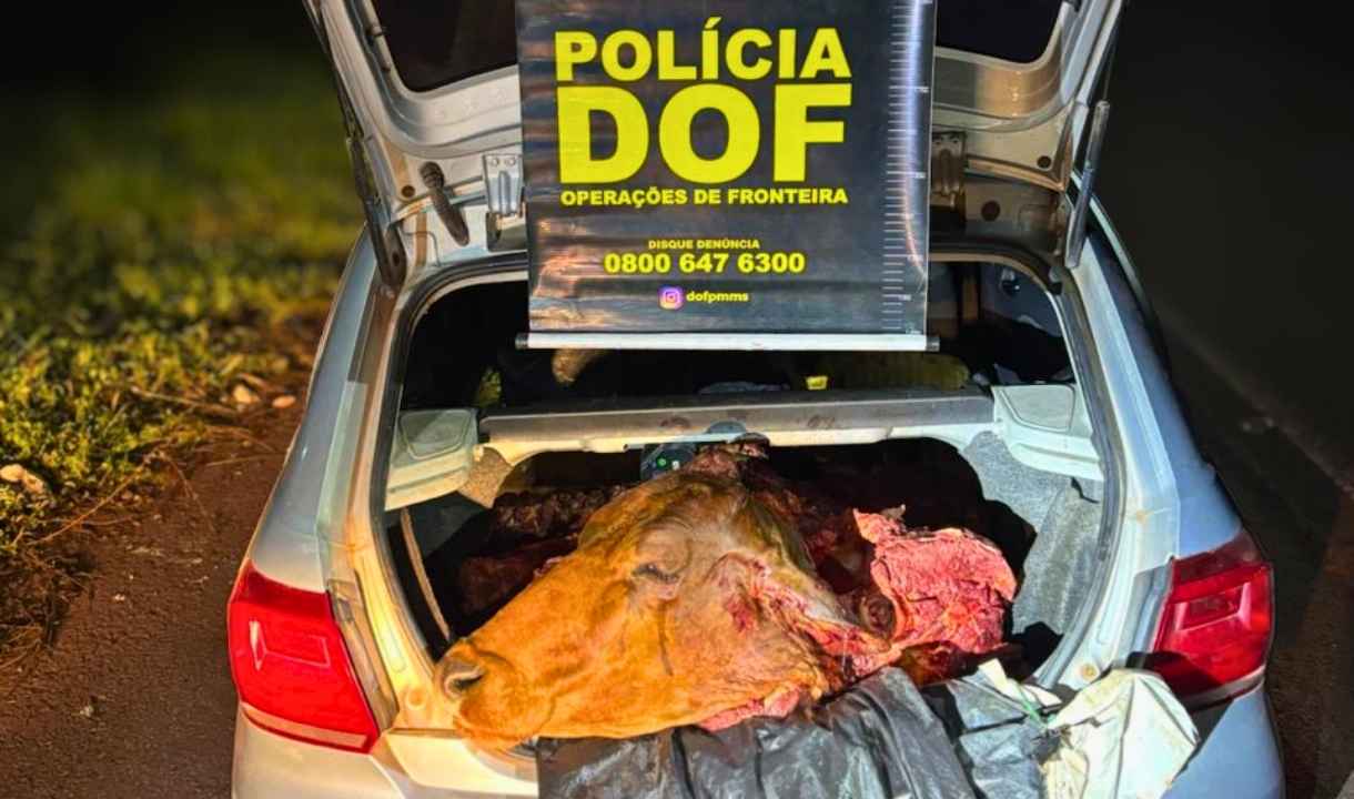furto de gado carne furtada