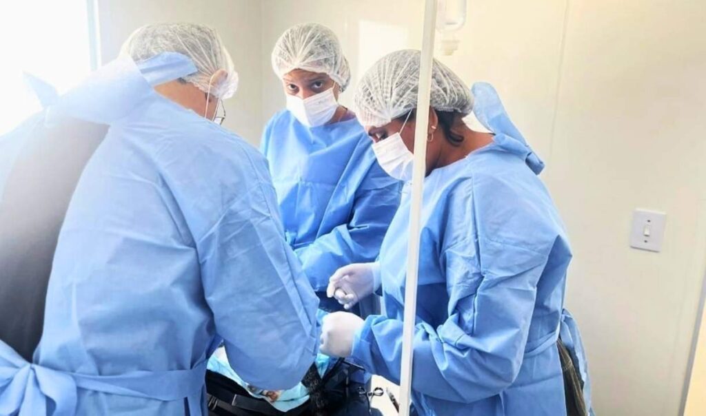 GAPA, Prefeitura e MP ampliam atendimento veterinário a tutores de baixa renda na região do Pantanal 2 gapa2 atendimento veterinário