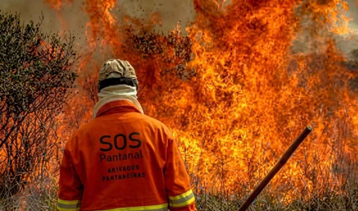 MPMS e Sejusp firmam acordo para combater incêndios e desmatamentos no Pantanal