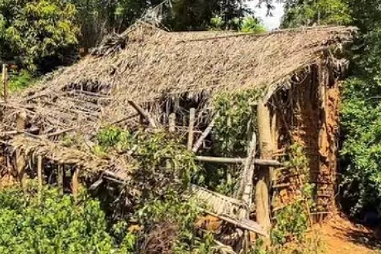 Investigação sobre irmãos desaparecidos no Maranhão ganha prioridade com redução de buscas na mata