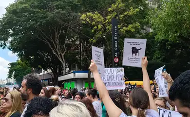 Polícia pede internação de adolescente no caso Orelha após conclusão da investigação