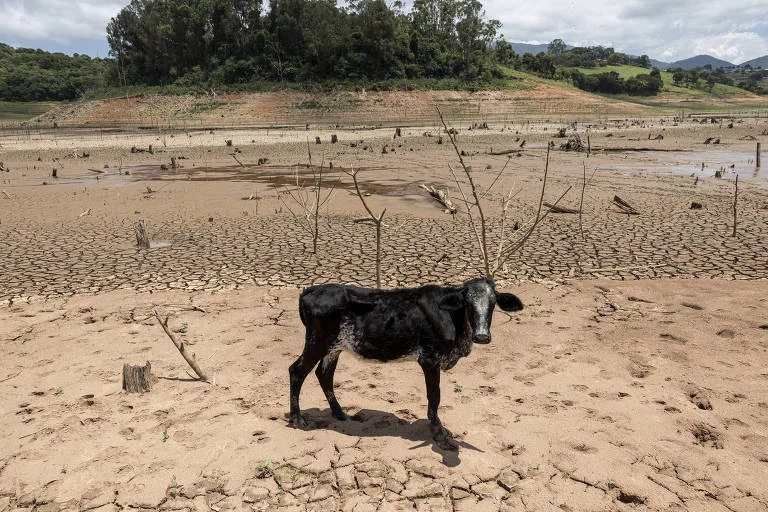Prejuízos por desastres climáticos no Brasil somam R$ 28 bilhões em 2025