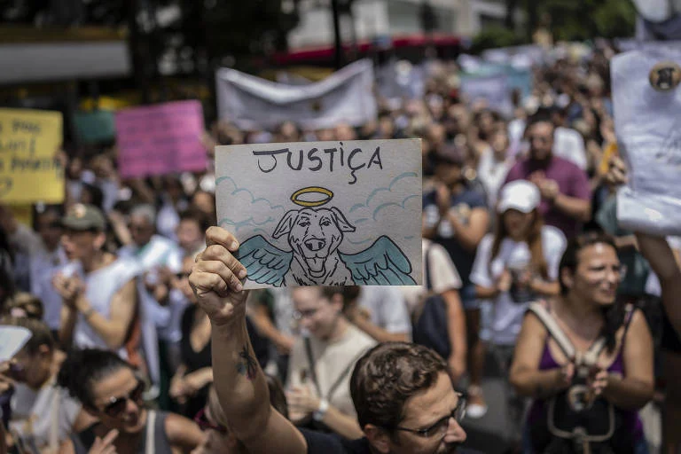 Família de jovem inocentado por morte de cão relata ameaças e linchamento virtual