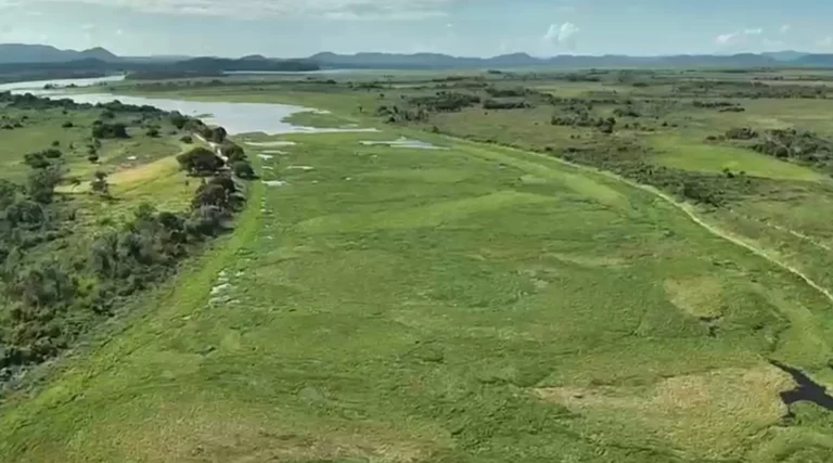 Moradores do Castelo abrem estrada por conta própria para fugir do isolamento no Pantanal