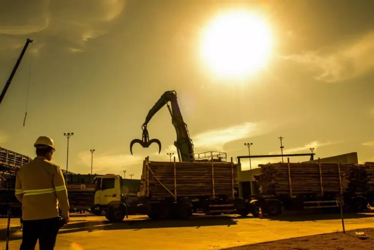 Empresa do setor florestal anuncia contratações em Santa Rita do Pardo e Nova Alvorada do Sul