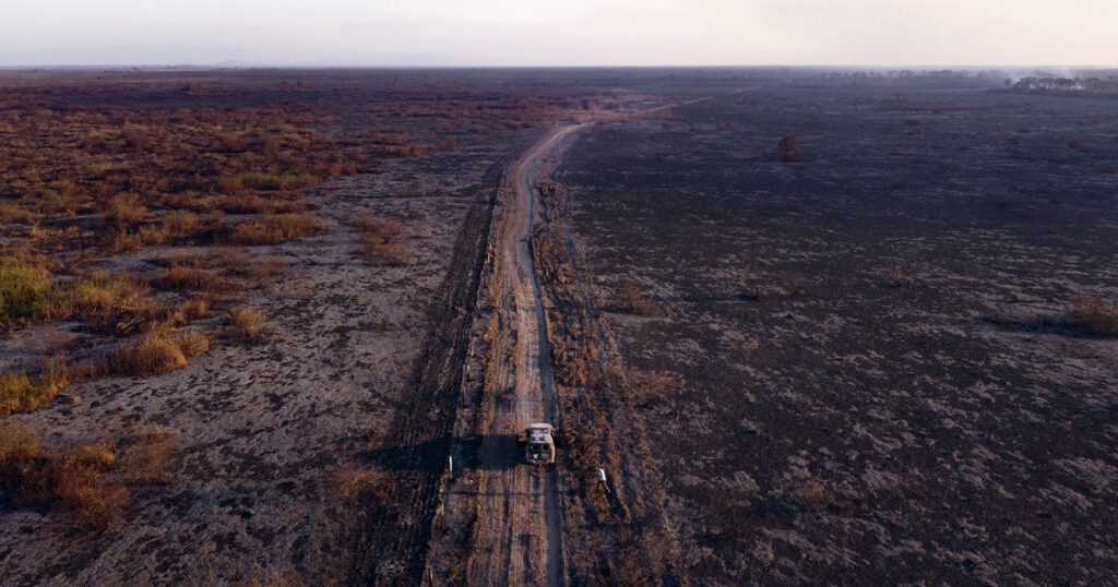 Pantanal seco com incêndios e áreas verdes, mostrando o impacto das mudanças climáticas