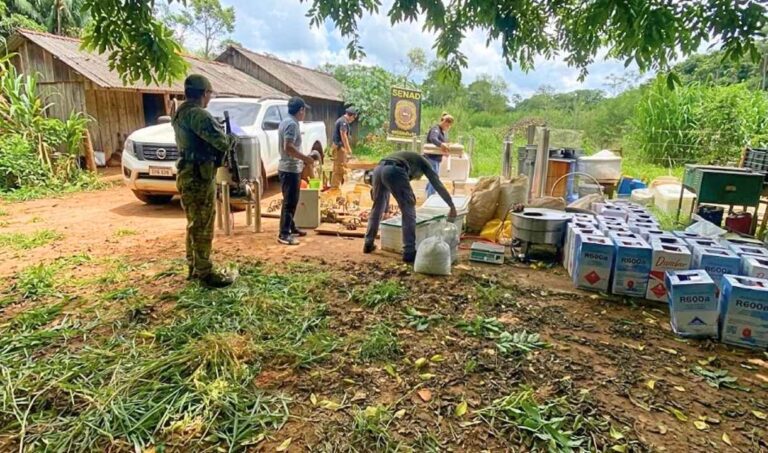 Polícia destrói base de produção de maconha vip no Paraguai