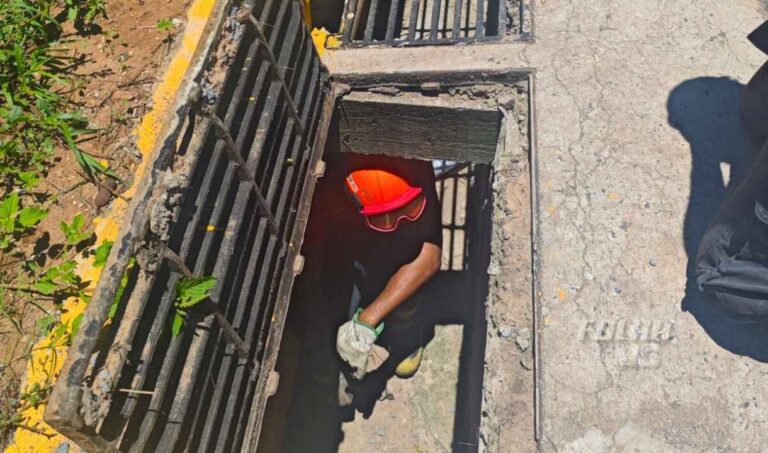 Bombeiros resgatam três gatos presos em tubulação no Jardim dos Estados | vídeo