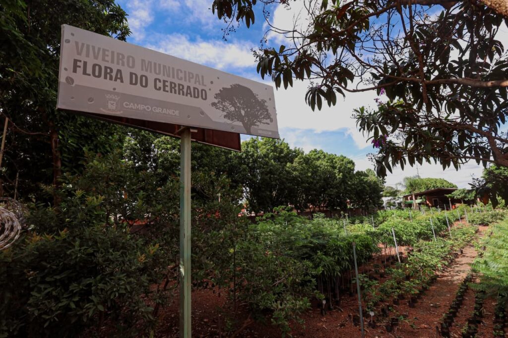 COP15 deixará legado enraizado em nova área verde na Capital 