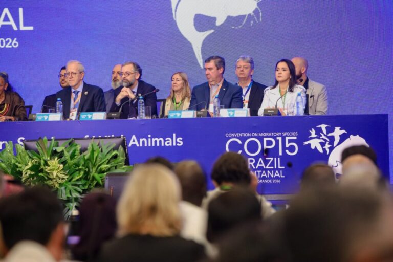 Hospitalidade campo-grandense encanta visitantes da COP 15