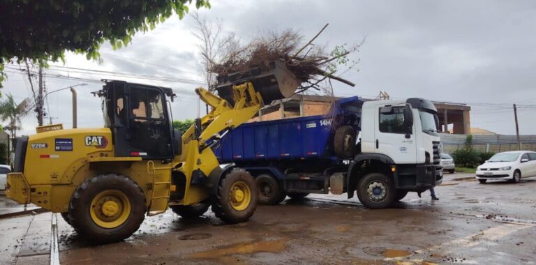 Sisep remove 115 árvores e intensifica poda preventiva na Capital