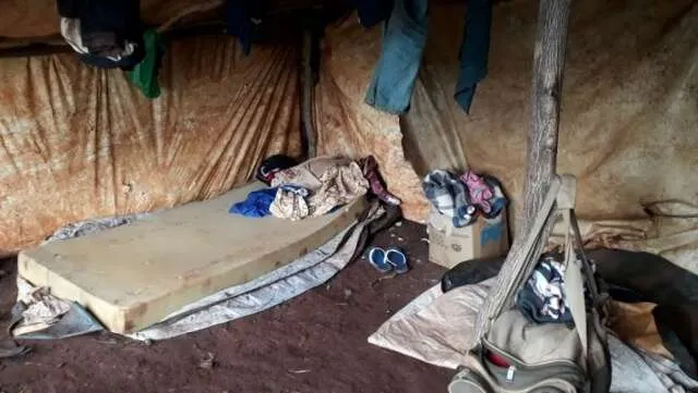 Barracos improvisados de lona em área rural, simbolizando condições de trabalho degradantes para indígenas no Mato Grosso do Sul.