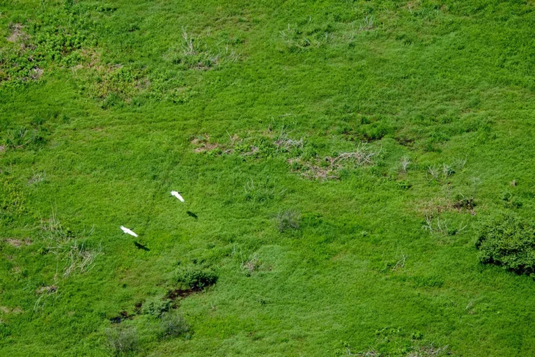 Corumbá atualiza políticas e regula o licenciamento ambiental municipal