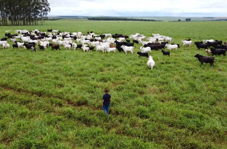 Agro de MS é destaque nacional ao registrar maior crescimento do setor em 2025