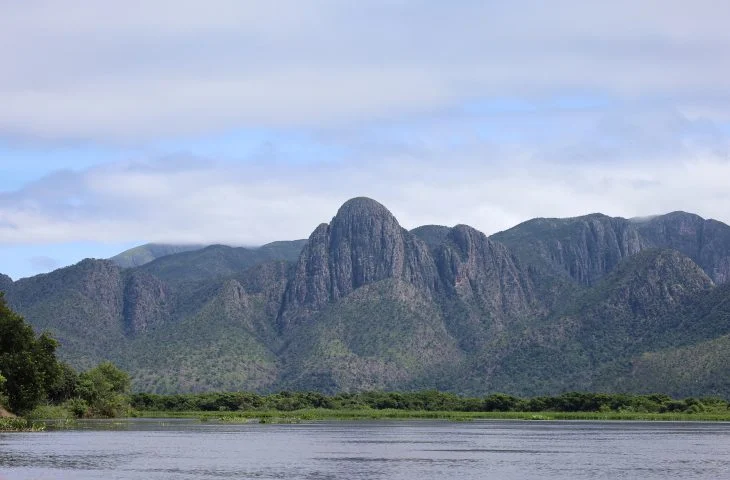 PSA Brigadas destina mais de R$ 6,1 milhões para conservação do Pantanal
