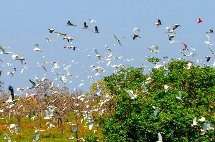 news 170706 1773140458