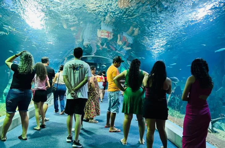 Bioparque Pantanal é referência internacional em conservação e turismo