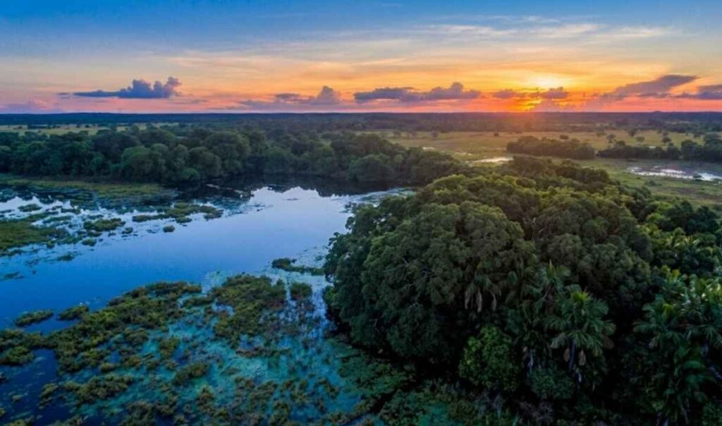 pantanal