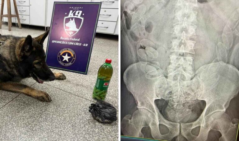 Fiscalização prende bolivianos com cocaína engolida em ônibus clandestino