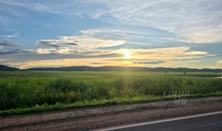 Mato Grosso do Sul tem previsão de ventos fortes e máximas de 33°C nesta sexta-feira