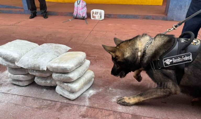apreensão de skunk em Corumbá