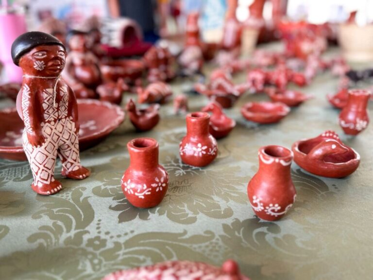 Festival na SAS promove visibilidade de comunidades indígenas