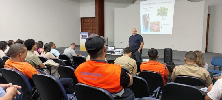PrefCG qualifica equipes em diagnóstico e prevenção de queda de árvores 