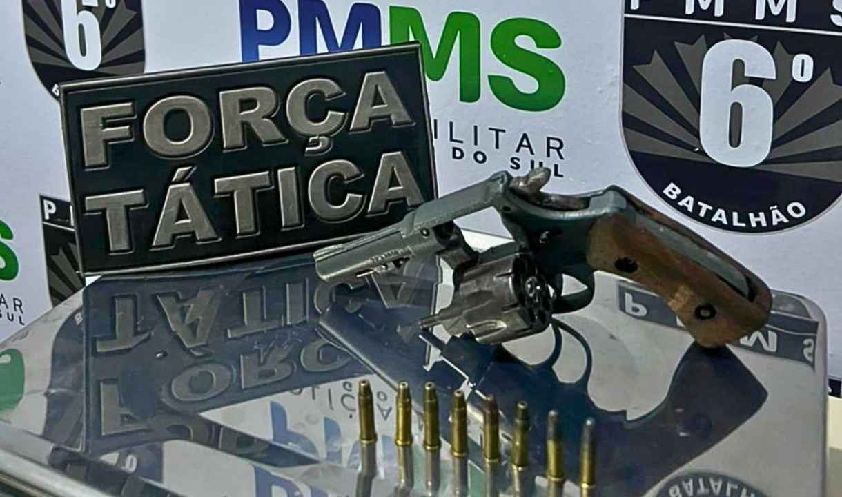 arma apreendida