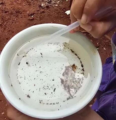 Profissional de saúde atende pacientes em meio à epidemia de chikungunya em Dourados.