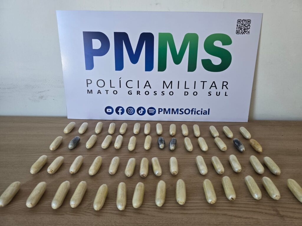 engolidos2
