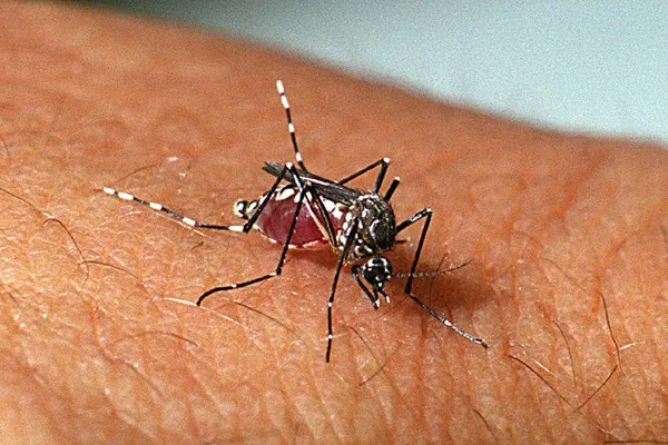 Profissional de saúde ao lado de idoso, simbolizando a luta contra a chikungunya e a vulnerabilidade em MS.