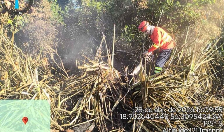 Equipes encerram combate a incêndio florestal após eliminação de focos em Corumbá