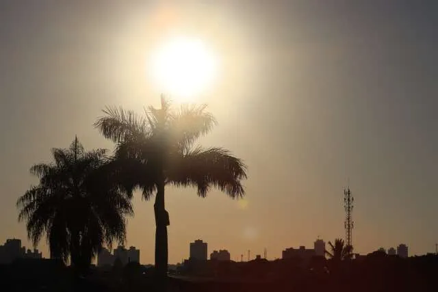 Imagem: Campo Grande News