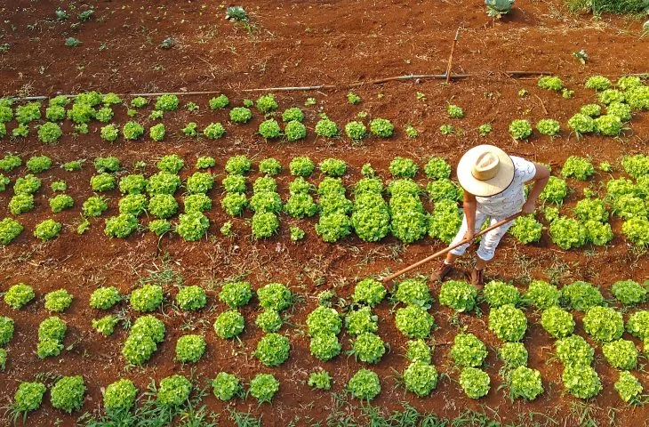 Agraer amplia crédito rural pelo Pronaf B para agricultores familiares