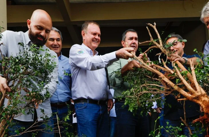 Riedel participa de ação para fortalecer cadeia produtiva da laranja em MS