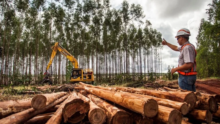 Suzano abre novas vagas em MS nas áreas florestal, administrativa e de manutenção